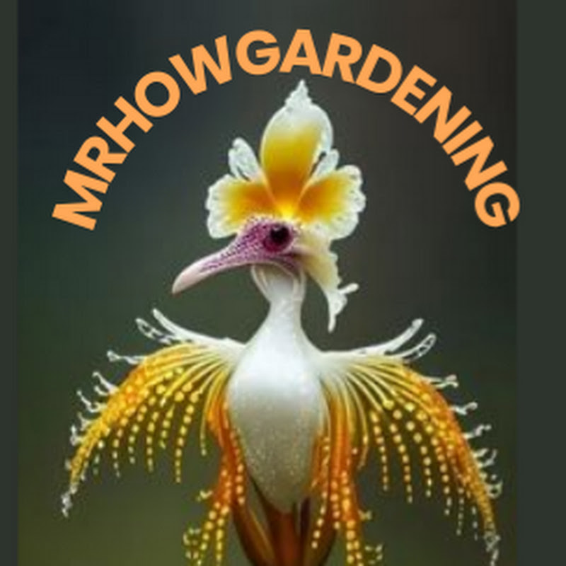 mr how gardening