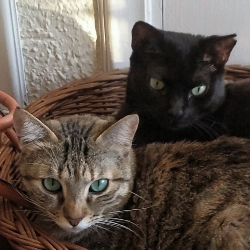 Emma&Jules