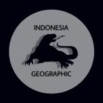 INDONESIA GEOGRAPHIC