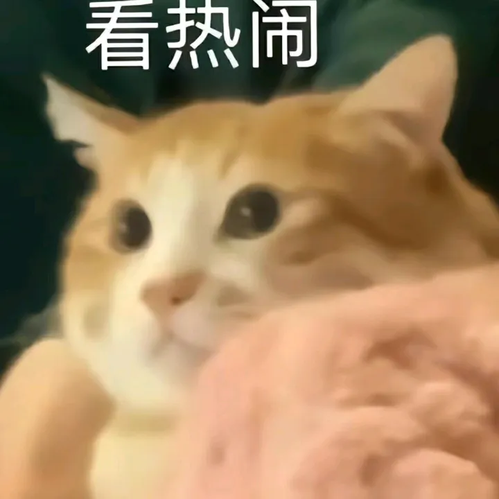 Регата嘻嘻