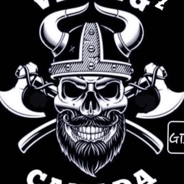 Les Vikingz