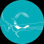 Coler Mountain Bike Preserve