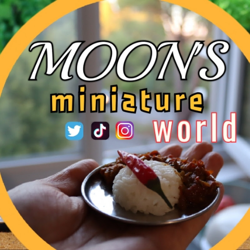 Moon's Miniature world 