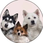 A boymom, dogmom and catmom