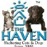 The Haven