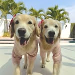 ✨Summer & Hunter✨