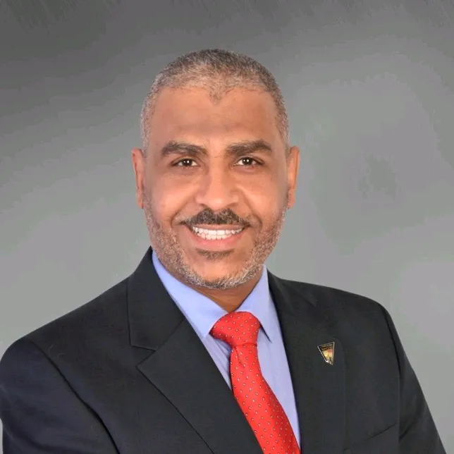 Mr Amr Madany
