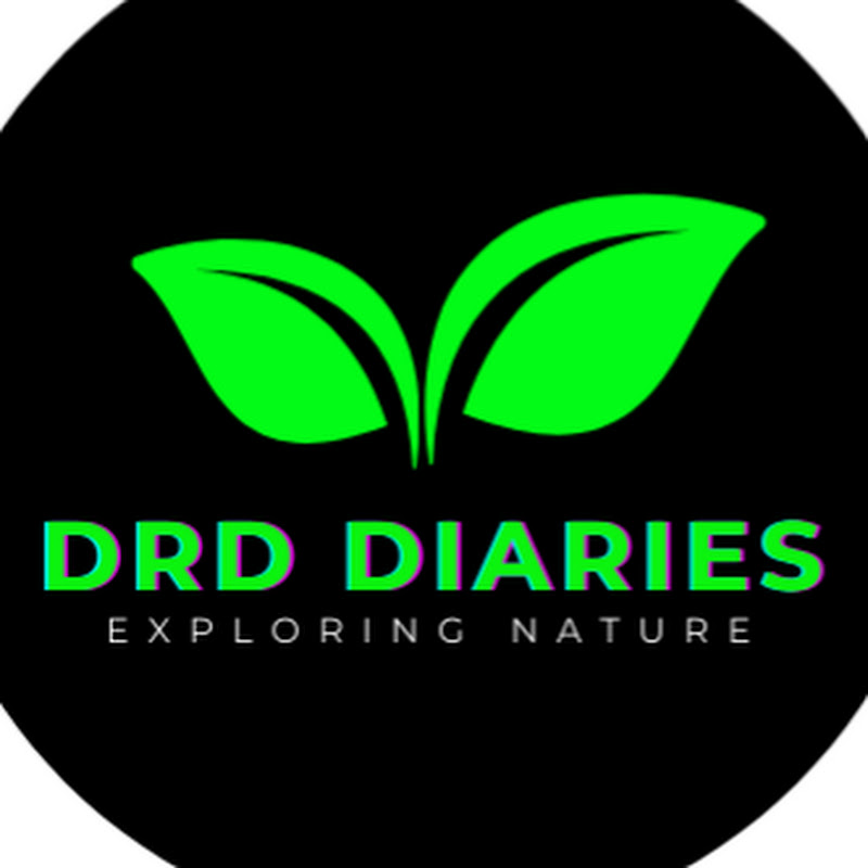 DRD Diaries
