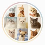 Vasco Catsfriends