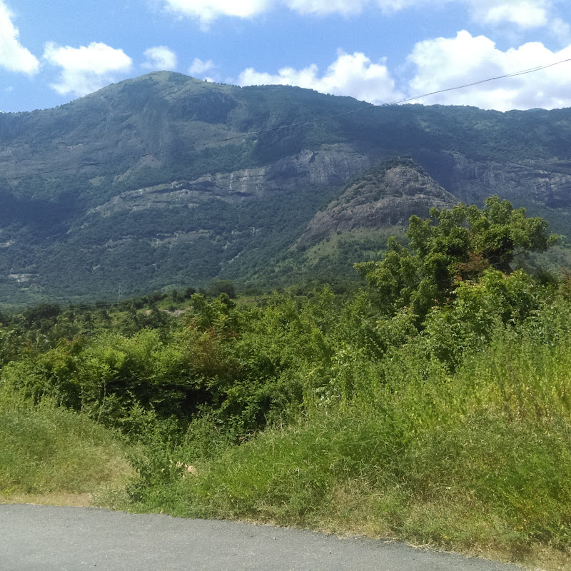 village life and tech channel