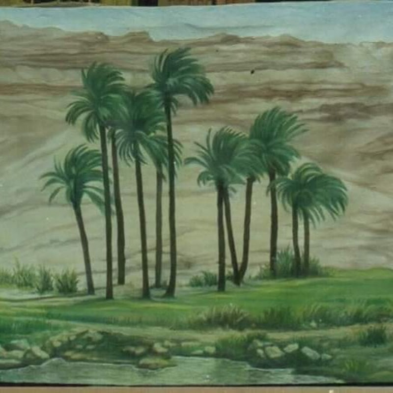 ثقافة ومعرفة (دكتور قاسم زكي)