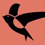 Little Swift