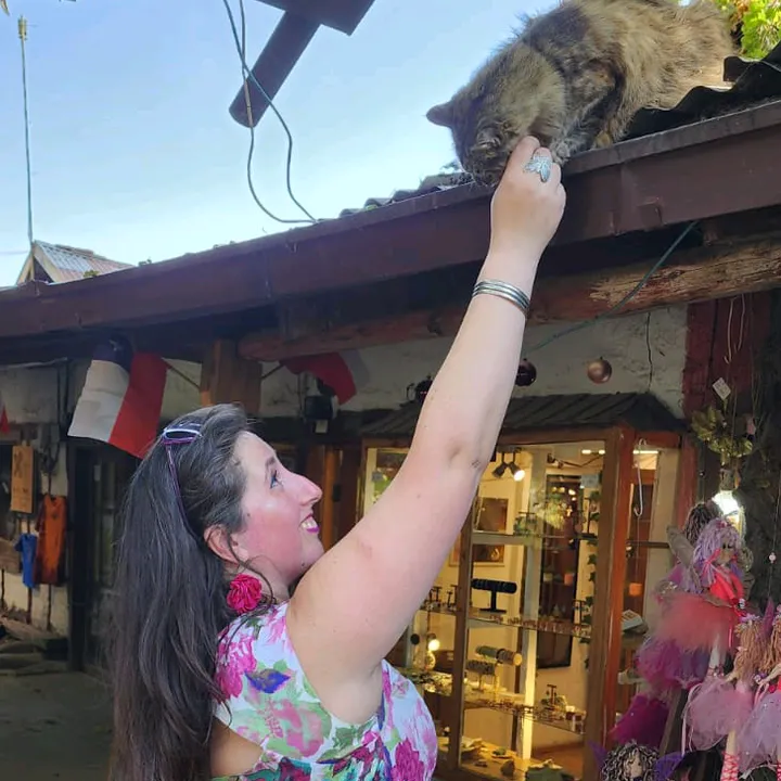 🪷🧚Carolita🌷💜