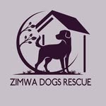 ZIMWA ANIMALS