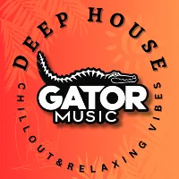 GatorMusic4k