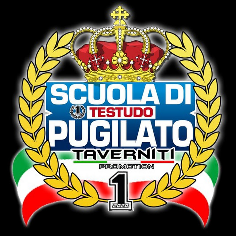 TESTUDO Scuola di Pugilato - Taverniti Promotion