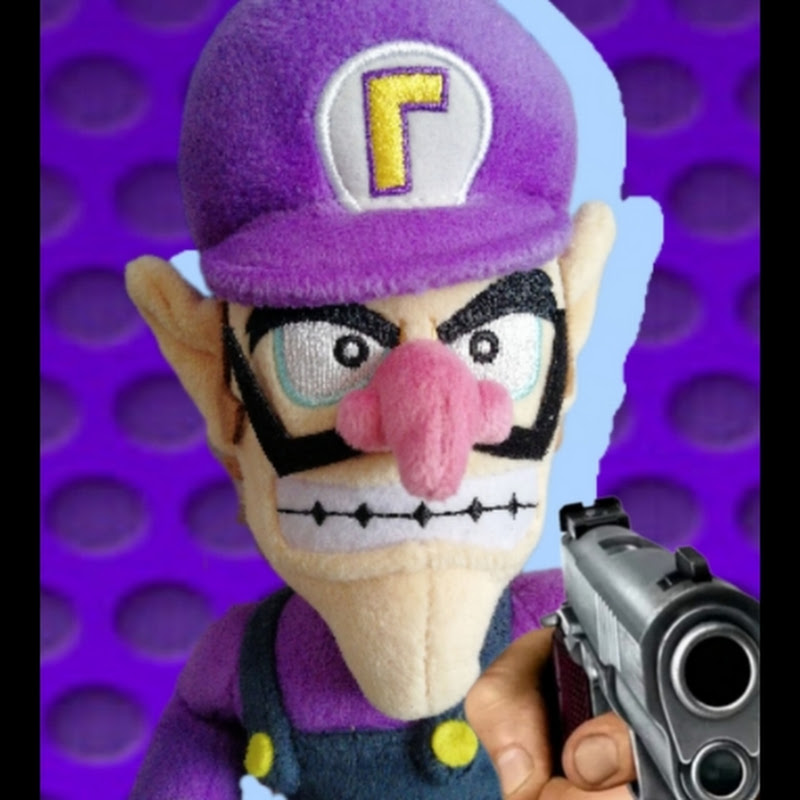 TheWaluigiX2401 