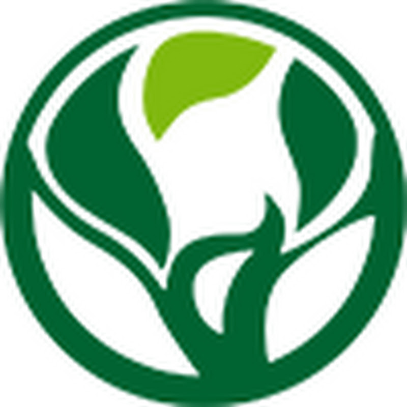 Eco-Ancheng Tableware