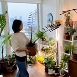 그린엔스 Green En's
