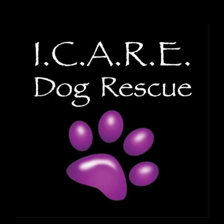 I.C.A.R.E. Dog Rescue