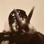 Lutz Family Tree Photography