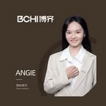 Angie_BCHI Aliminum profile factory