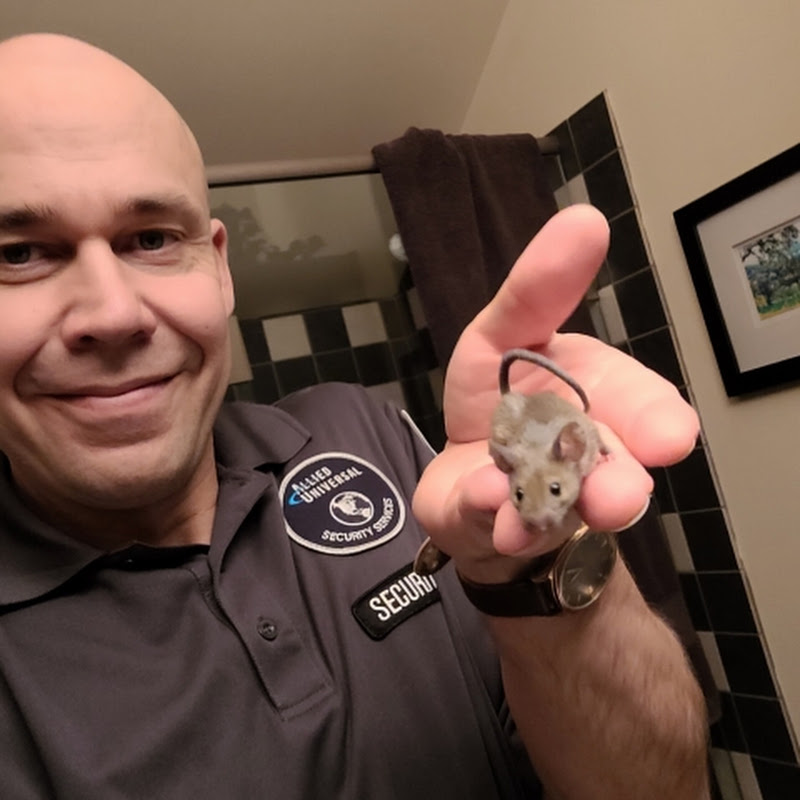 Mouse Manor