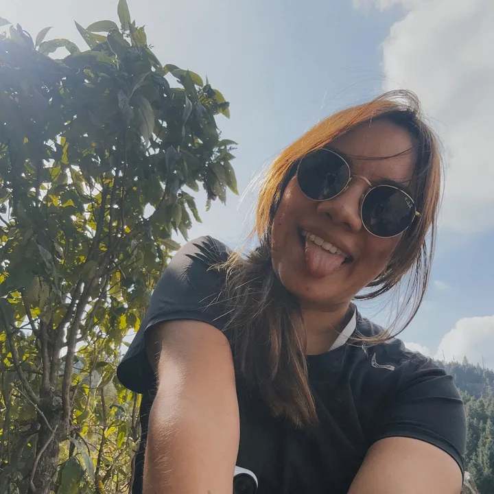 Dianey | Un Pato Aventurero