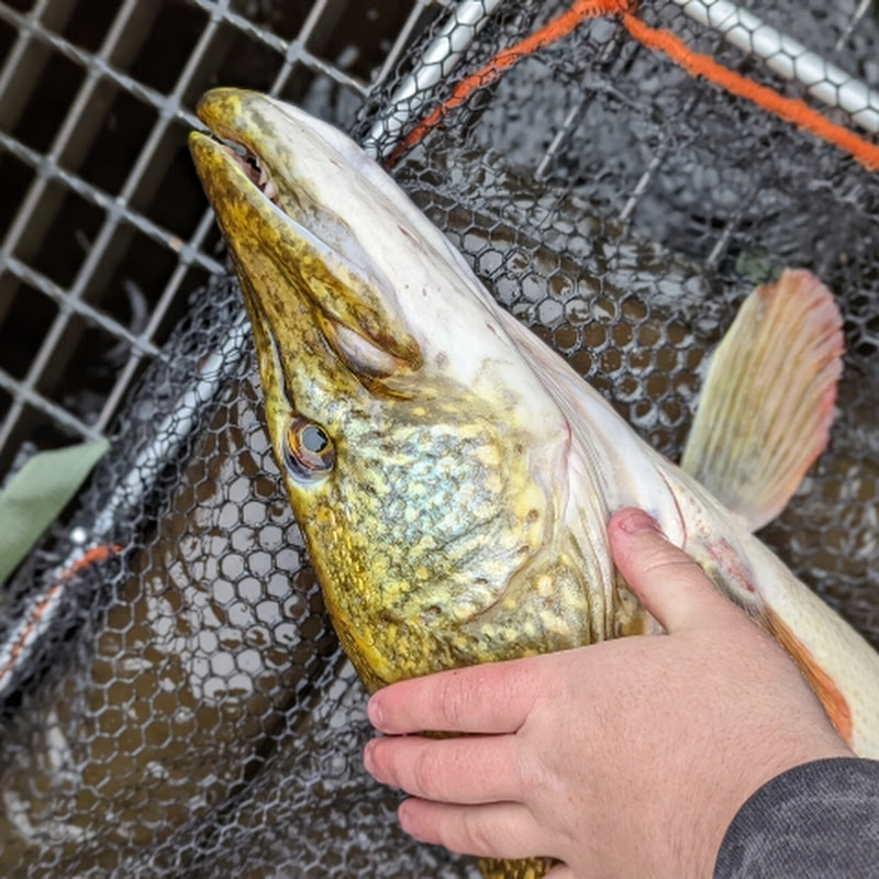 Hooked On Fishing Scotland 