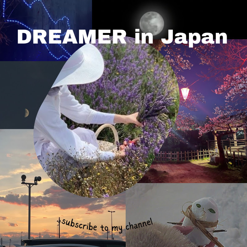Dreamer in Japan