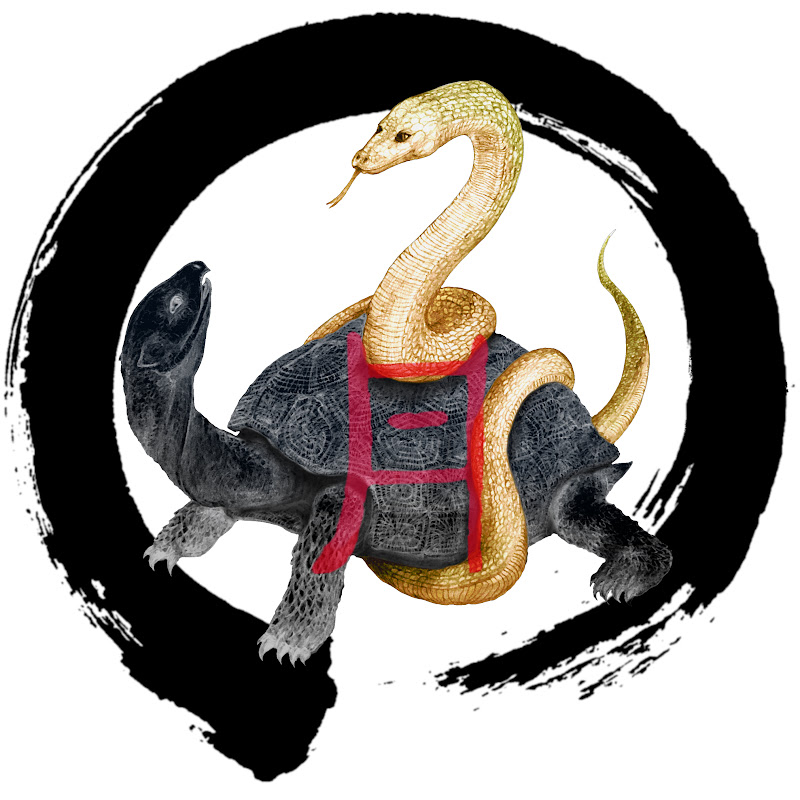 Asis Vendrell · Wuji Wudang Wushu