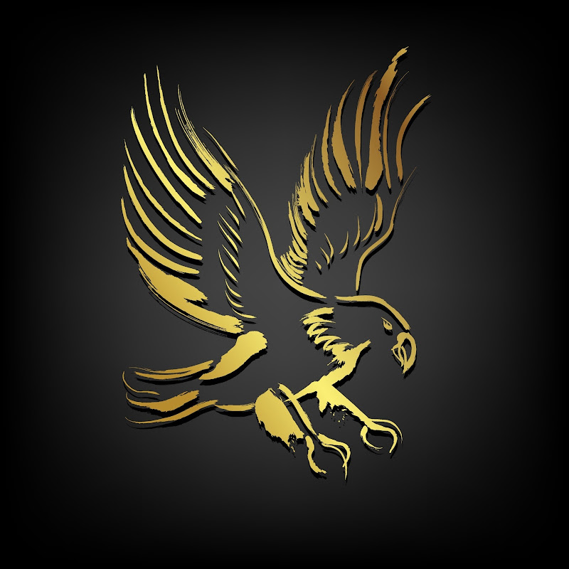 Eagle Fly