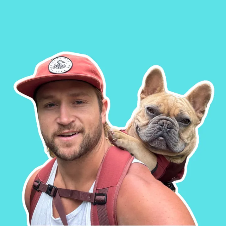 TJ The Frenchie