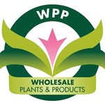 Wholesale Plants and Products