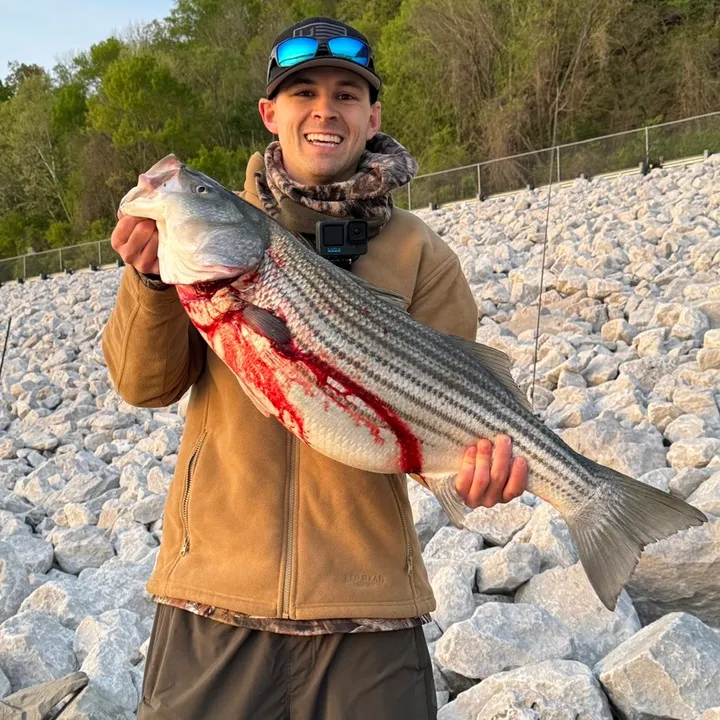 Ritch Fishing