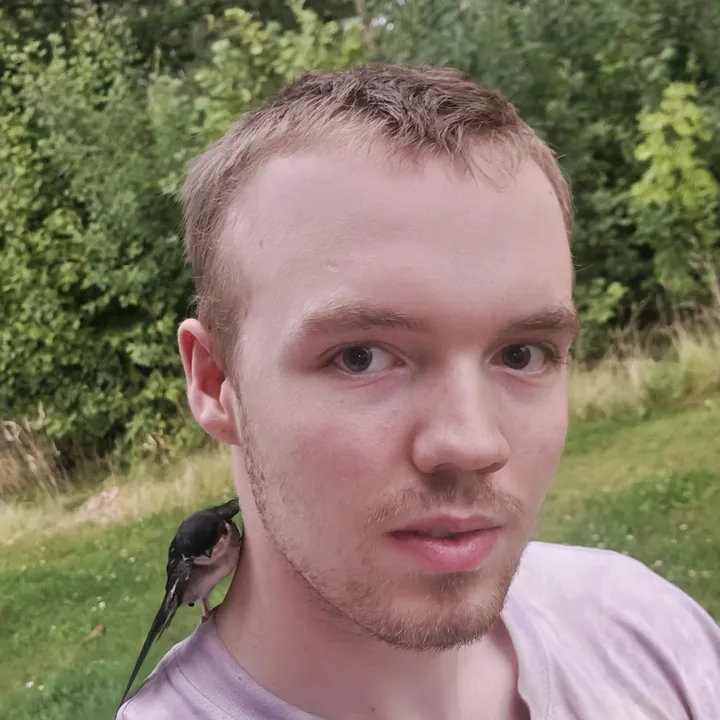 Ture Sörnäs Borell