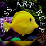 🪸 Stefan Rohnalter 🪸