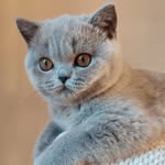 Suzanne Postma Zandwijk