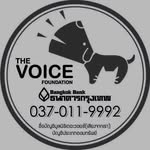 มูลนิธิ The Voice(เสียงจากเรา)