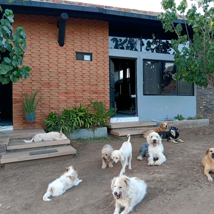 perrunafam
