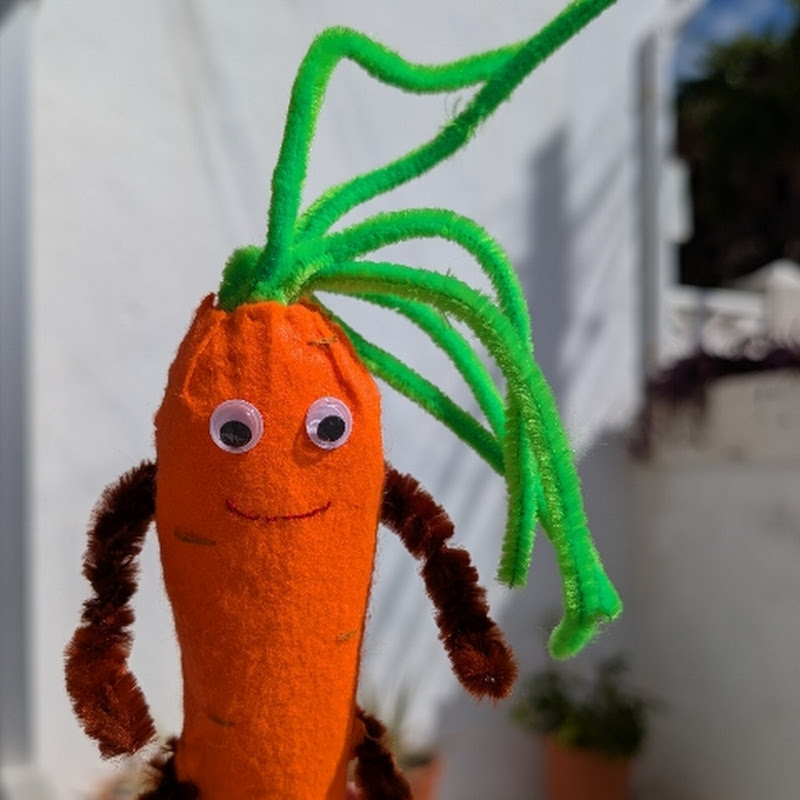 Carrot Carrol Craft 