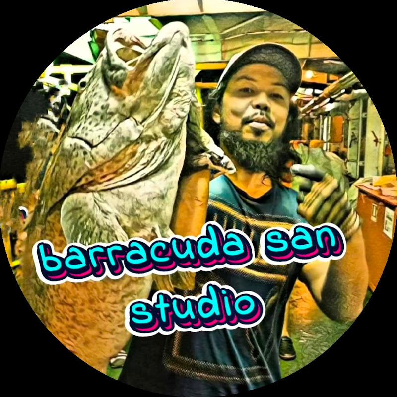 barracuda san studio