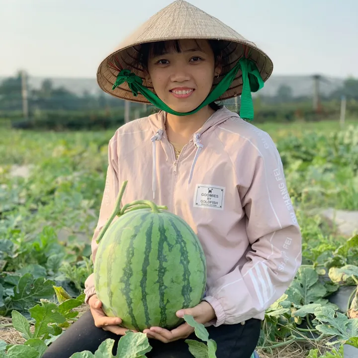 Cô Nông Dân