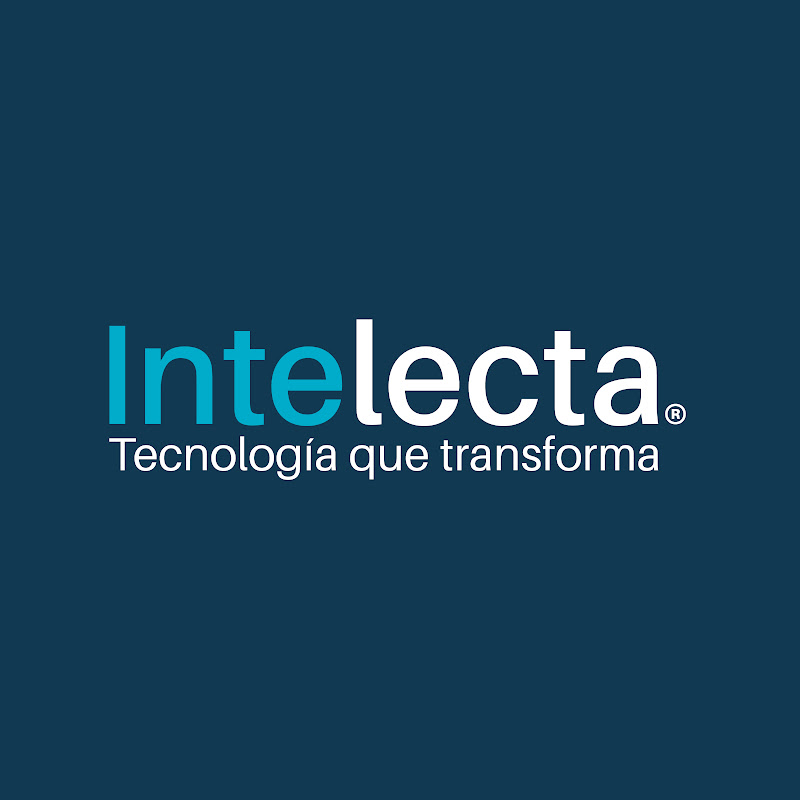 Grupo Intelecta
