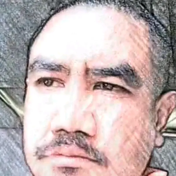 Alikitamo