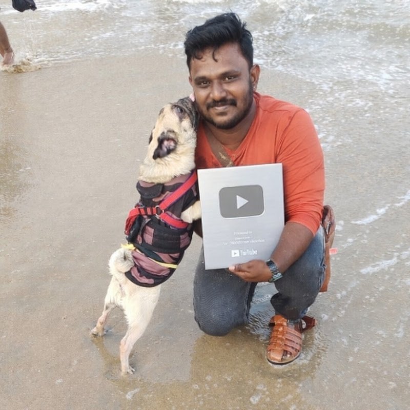 See My Life Trips – Official