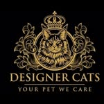 Designer Bengal Singapore | Wide Range of Kittens For Sale