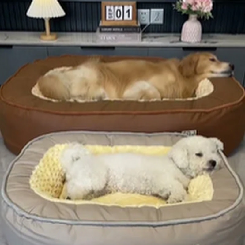 Puppy Channel