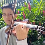 Enmanuel Violin