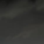 ✧ 𝑗𝑎𝑟𝑖𝑠 ✧